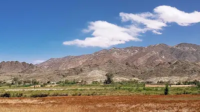 Dónde queda Molinos, la segunda localidad de Argentina con más tierras en manos de extranjeros Dónde queda Molinos, la segunda localidad de Argentina con más tierras en manos de extranjeros