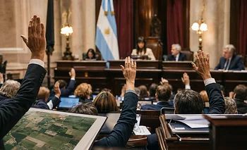 Ley de Tierras: quiénes son los 29 diputados que dudan cómo votar | Ley de tierras