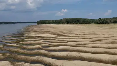 La sequía del río Danubio reveló barcos de la Segunda Guerra Mundial y restos de un mamut La sequía del río Danubio reveló barcos de la Segunda Guerra Mundial y restos de un mamut