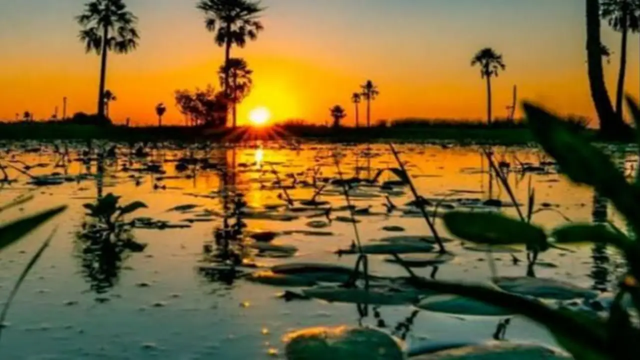 Era una estancia ganadera de 12 mil hectáreas y ahora es un Parque Nacional de Corrientes: volvieron especies en peligro de extinción