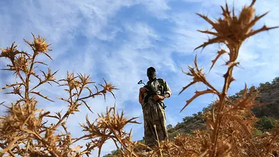 Turquía presenta un proyecto de ley para reintegrar a los militantes del PKK y lograr la paz Turquía presenta un proyecto de ley para reintegrar a los militantes del PKK y lograr la paz