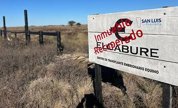 El Caburé entra en su etapa decisiva: podría complicar aún más a Claudio Poggi | San luis