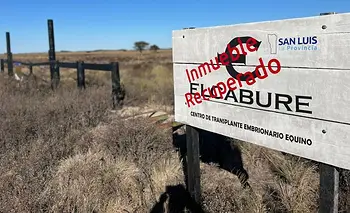 El Caburé entra en su etapa decisiva: podría complicar aún más a Claudio Poggi | San luis