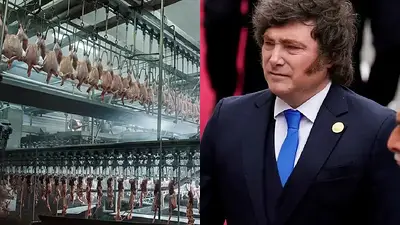 Avícola y Javier Milei Avícola y Javier Milei