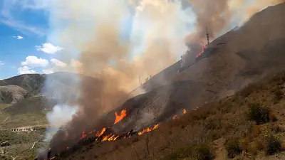 Incendios en La Rioja. Incendios en La Rioja.