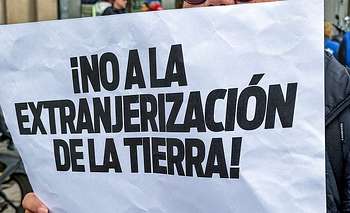 Ley de Tierras: con poner un freno no alcanza | Panorama económico