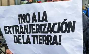 Ley de Tierras: con poner un freno no alcanza | Panorama económico