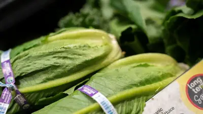 Míchigan relaja recomendaciones sobre la lechuga por baja de casos de ciclosporiasis Míchigan relaja recomendaciones sobre la lechuga por baja de casos de ciclosporiasis