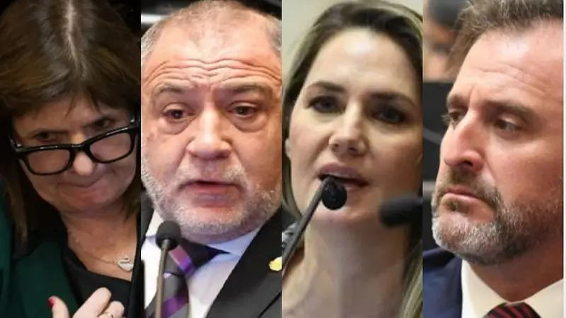 Uno por uno: los senadores que le dieron media sanción a la Ley de Propiedad Privada 