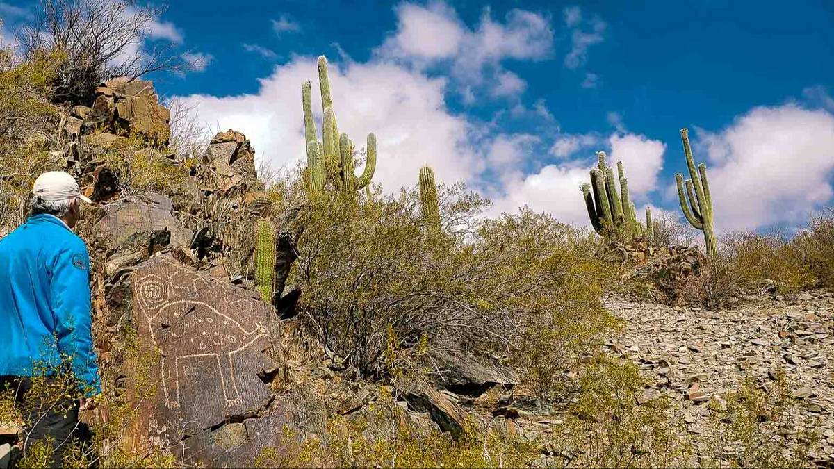 san-carlos---salta---ley-de-tierras-jpg.