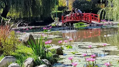 Cuál es el otro jardín japonés que hay en buenos aires. Cuál es el otro jardín japonés que hay en buenos aires.