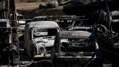 Cómo la cruda realidad del cambio climático ha afectado a la economía europea este verano Cómo la cruda realidad del cambio climático ha afectado a la economía europea este verano