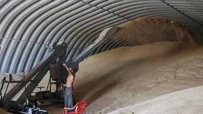 El déficit de almacenamiento de grano ucraniano podría tocar los 11 millones de toneladas El déficit de almacenamiento de grano ucraniano podría tocar los 11 millones de toneladas