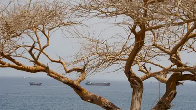 El petróleo volvió a trepar tras las exigencias de Trump a Irán y la paralización del tráfico en el estrecho de Ormuz El petróleo volvió a trepar tras las exigencias de Trump a Irán y la paralización del tráfico en el estrecho de Ormuz