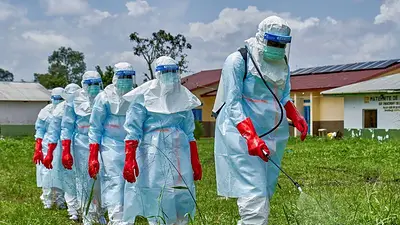 Brote de ébola en el Congo y Uganda se habría provocado por una nueva transmisión desde animales Brote de ébola en el Congo y Uganda se habría provocado por una nueva transmisión desde animales