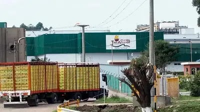 Crisis en la industria avícola: Granja Tres Arroyos paraliza sus plantas y despide a 250 trabajadores en Entre Ríos Crisis en la industria avícola: Granja Tres Arroyos paraliza sus plantas y despide a 250 trabajadores en Entre Ríos