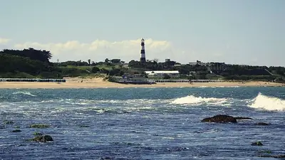 Apareció una “isla” en Mar del Plata y advirtieron que es peligroso acercarse Apareció una “isla” en Mar del Plata y advirtieron que es peligroso acercarse
