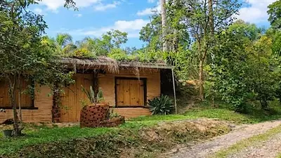 Construyó su propia casa con bolsas de papas y tierra: la fascinante obra sustentable en el sur de Brasil Construyó su propia casa con bolsas de papas y tierra: la fascinante obra sustentable en el sur de Brasil