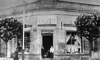 Los Gallegos, el ícono de Mar del Plata que se transforma | Música
