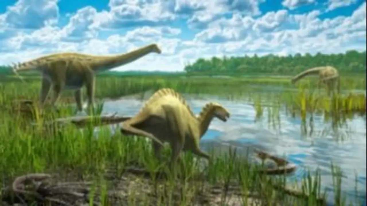 El fósil récord encontrado en Brasil: tenía 75 millones de años y reveló un secreto bajo tierra de la era de los dinosaurios