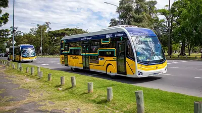 Trambus Trambus