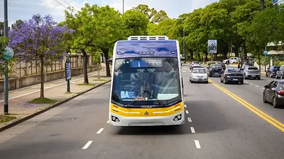 Trambus Trambus