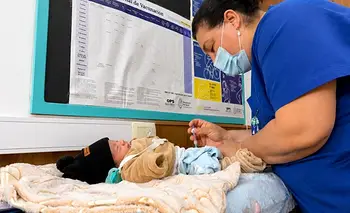 El virus sincicial respiratorio ya supera a la gripe como causa de internación en menores | Ciencia 