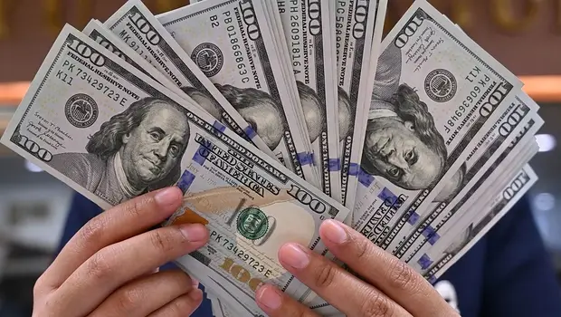 El superávit de Vaca Muerta se usó para la dolarización del ahorro y el pago de dividendos | Fuga de divisas