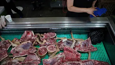 Corea del Sur vive su última temporada de carne de perro antes de la prohibición Corea del Sur vive su última temporada de carne de perro antes de la prohibición