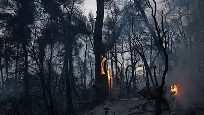 Cientos de personas evacuadas en Croacia y Grecia a medida que los incendios forestales se extienden Cientos de personas evacuadas en Croacia y Grecia a medida que los incendios forestales se extienden