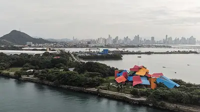 Desplazadas por El Niño, las aves marinas sudamericanas migran a Panamá Desplazadas por El Niño, las aves marinas sudamericanas migran a Panamá