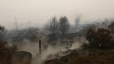 El mayor incendio registrado en Bélgica se dirige hacia Alemania El mayor incendio registrado en Bélgica se dirige hacia Alemania
