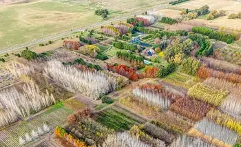 Tiene el vivero más importante del país y queda solo a dos horas de CABA | Escapadas
