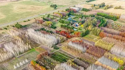 Cazón, el pueblo perfecto para una escapada de fin de semana: tiene el vivero municipal más importante del país e invita a desconectar por unas horas. Cazón, el pueblo perfecto para una escapada de fin de semana: tiene el vivero municipal más importante del país e invita a desconectar por unas horas.