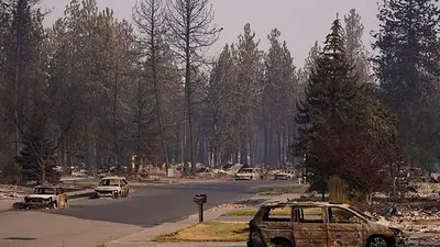 Gobierno de Trump toma medidas para derogar norma que protege millones de acres de bosque Gobierno de Trump toma medidas para derogar norma que protege millones de acres de bosque