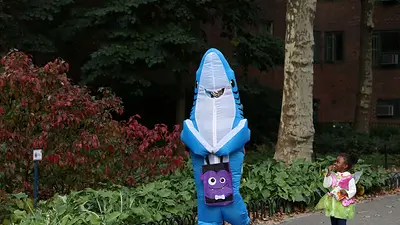 El niño de "Baby Shark" vuelve a los escenarios como cantante de k-pop El niño de "Baby Shark" vuelve a los escenarios como cantante de k-pop