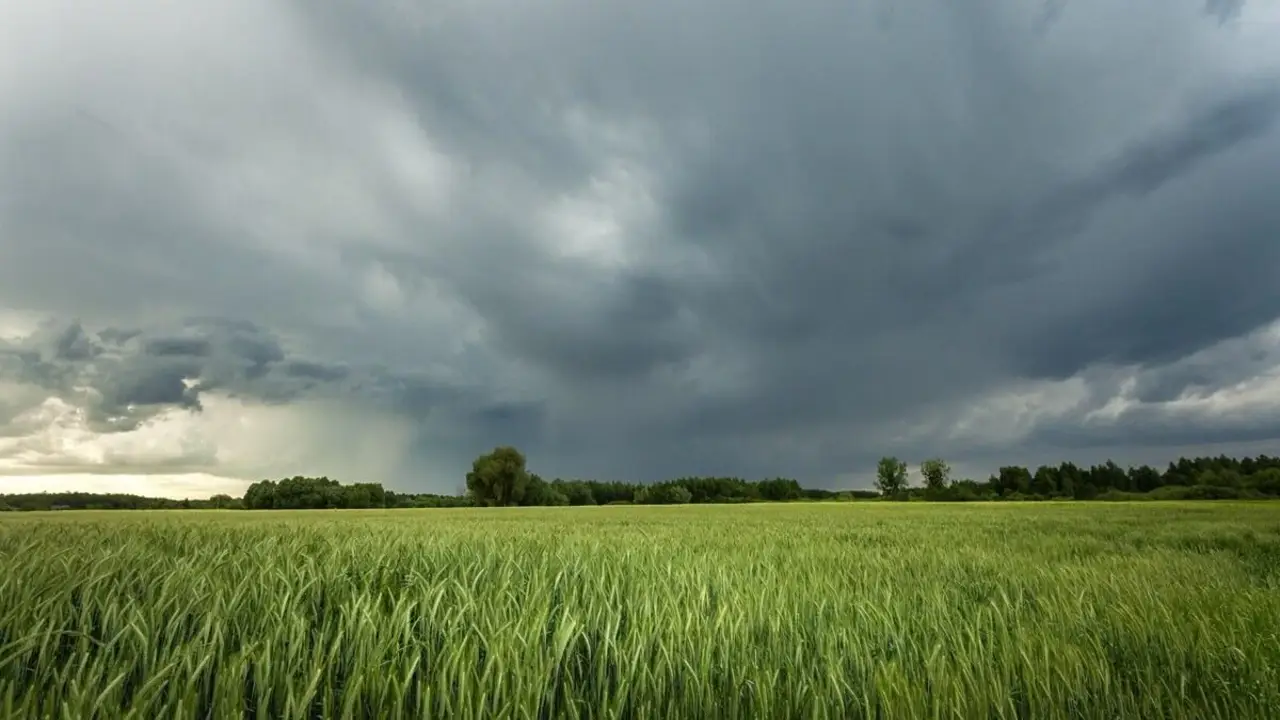 La Rioja activa un plan de prevención ante la posible llegada de El Niño: los detalles