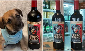 Iniciativa solidaria: el novedoso vino mendocino que financia rescates de animales | Vino