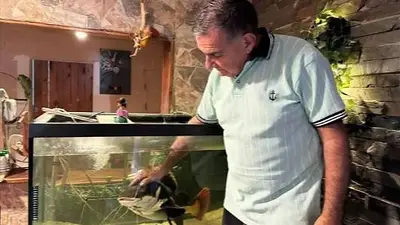 Crió a un pez gigante en su casa, lo donó a Temaikén y meses después el reencuentro emocionó a todos Crió a un pez gigante en su casa, lo donó a Temaikén y meses después el reencuentro emocionó a todos