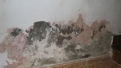 Pared con humedad Pared con humedad