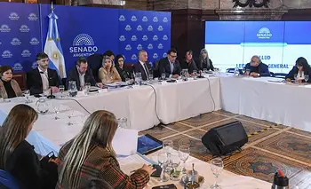 LLA busca reactivar la reforma de salud mental, que no convence a las provincias | Congreso