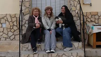 El curioso pueblo donde los gatos son más que las personas y atraen al turismo El curioso pueblo donde los gatos son más que las personas y atraen al turismo