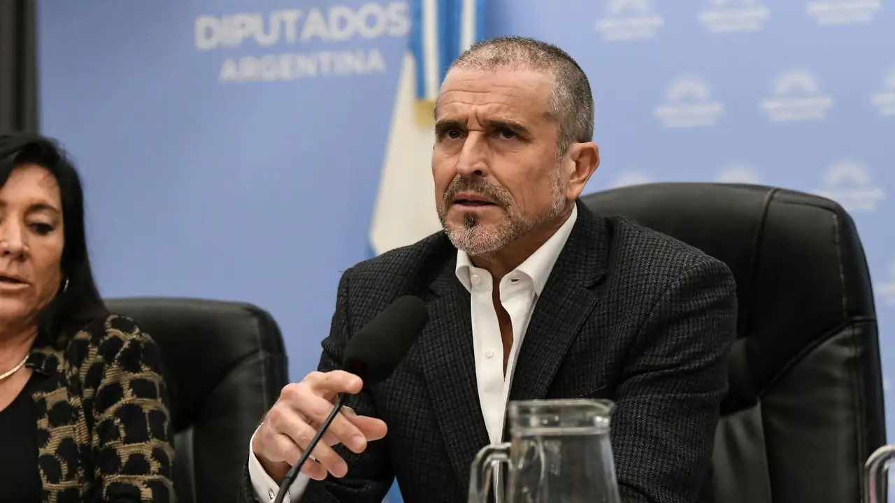 Benegas Lynch, como Milei, niega ayuda a endeudados: "Como Argentina perdió la final del Mundial, no pagan"