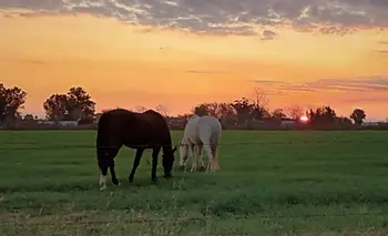 El destino oculto de la Provincia: a orillas del Paraná, tiene playas y parrillas | Escapadas