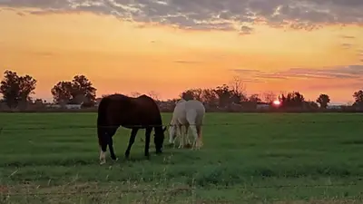 El destino oculto de la Provincia: a orillas del Paraná, tiene playas y parrillas El destino oculto de la Provincia: a orillas del Paraná, tiene playas y parrillas