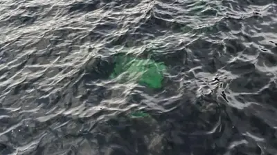 Misterio en el lago: investigan una camioneta que apareció hundida en Chubut Misterio en el lago: investigan una camioneta que apareció hundida en Chubut