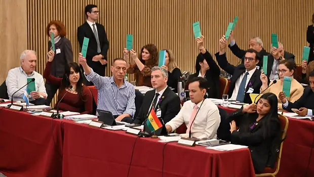 Por amplia mayoría, el Parlasur repudió los insultos de Milei contra Lula | Parlasur