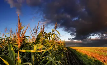El fenómeno El Niño ¿la excusa de Estados Unidos para que suba el precio del petróleo? | Estados unidos