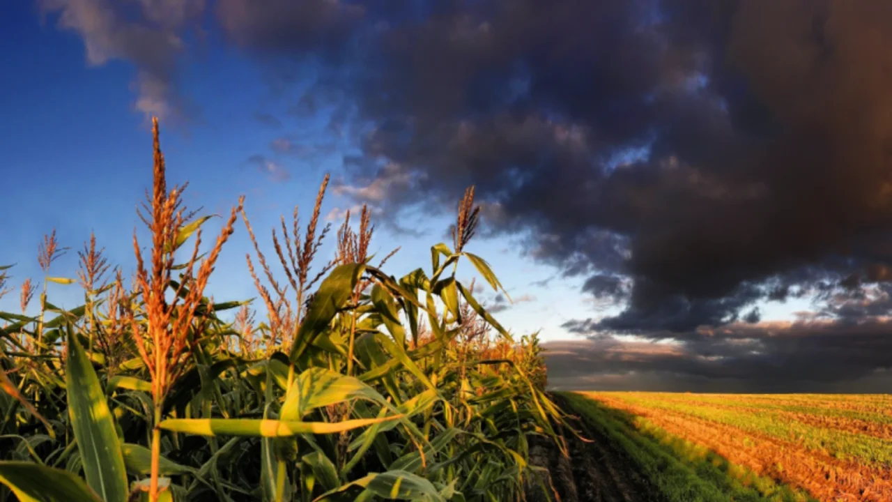 El fenómeno El Niño ¿la excusa de Estados Unidos para que suba el precio del petróleo?