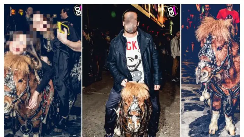 Maltrato animal: clausuran el boliche Go! por usar un pony para entretener clientes Maltrato animal: clausuran el boliche Go! por usar un pony para entretener clientes